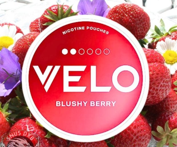 VELO Blushy Berry 17mg Extra Strong Can VELO Blushy Berry 17mg Extra Strong nicotine pouches can Australia